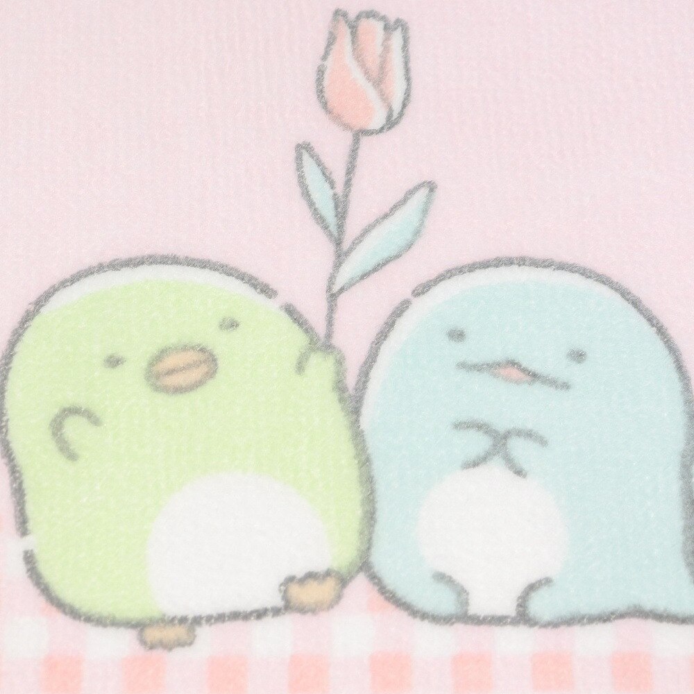 すみっコぐらし（Sumikkogurashi）（キッズ）プチタオル CM39405