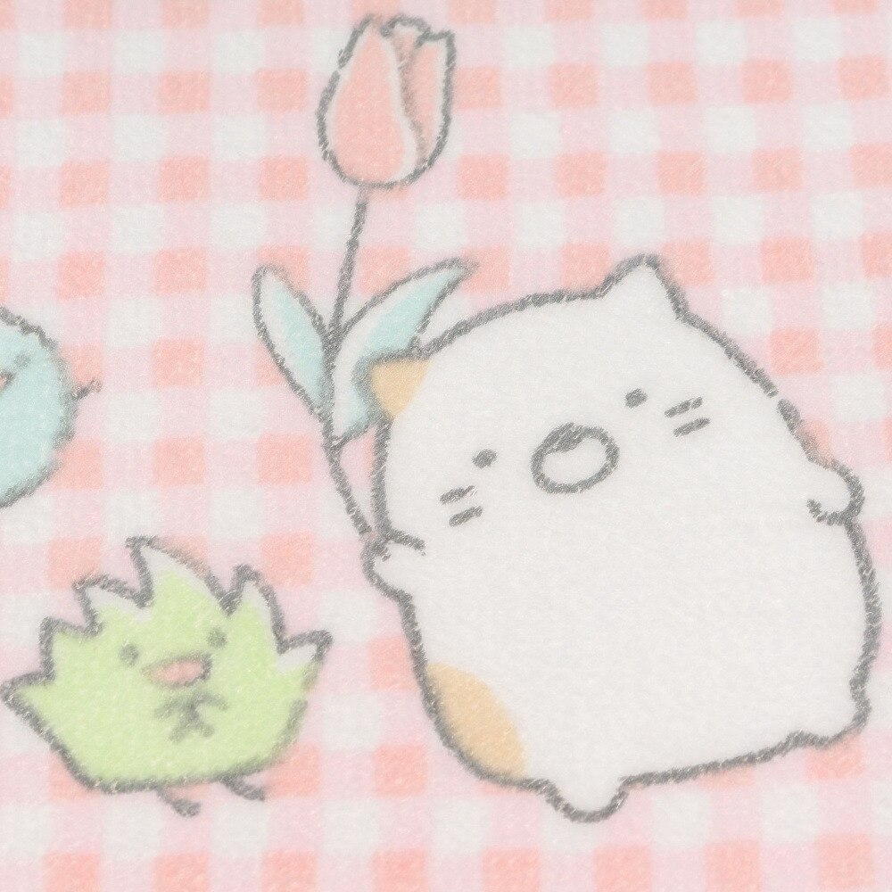 すみっコぐらし（Sumikkogurashi）（キッズ）プチタオル CM39405