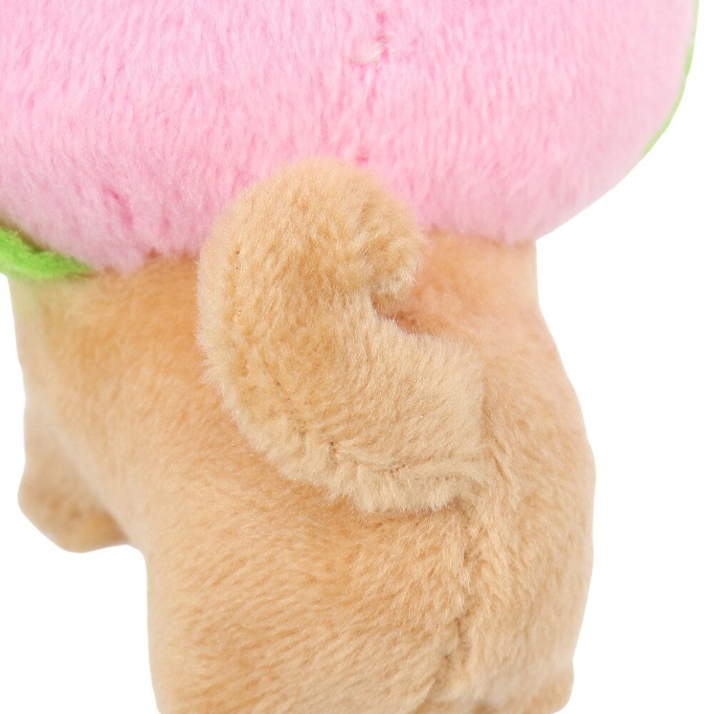 ミナミ（Minami）（メンズ、レディース、キッズ）旅するマメしば