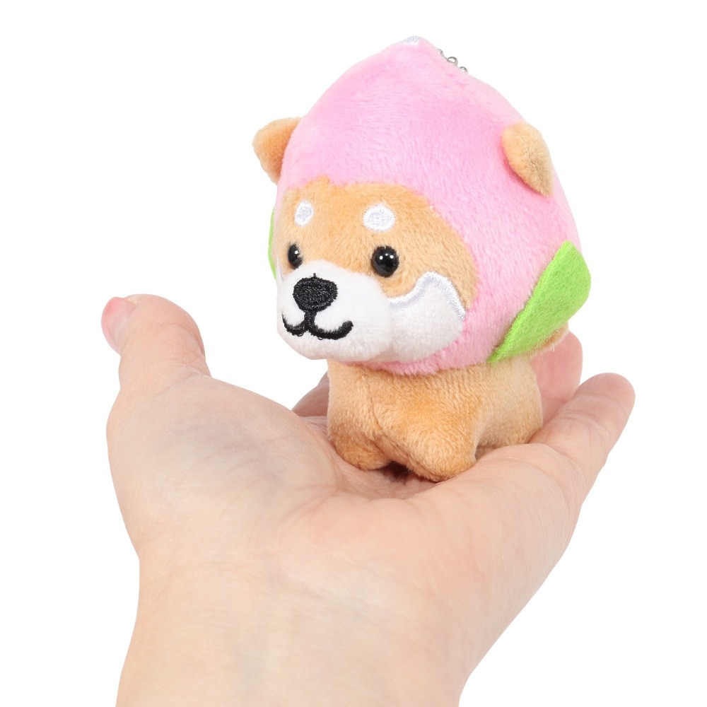 ミナミ（Minami）（メンズ、レディース、キッズ）旅するマメしば