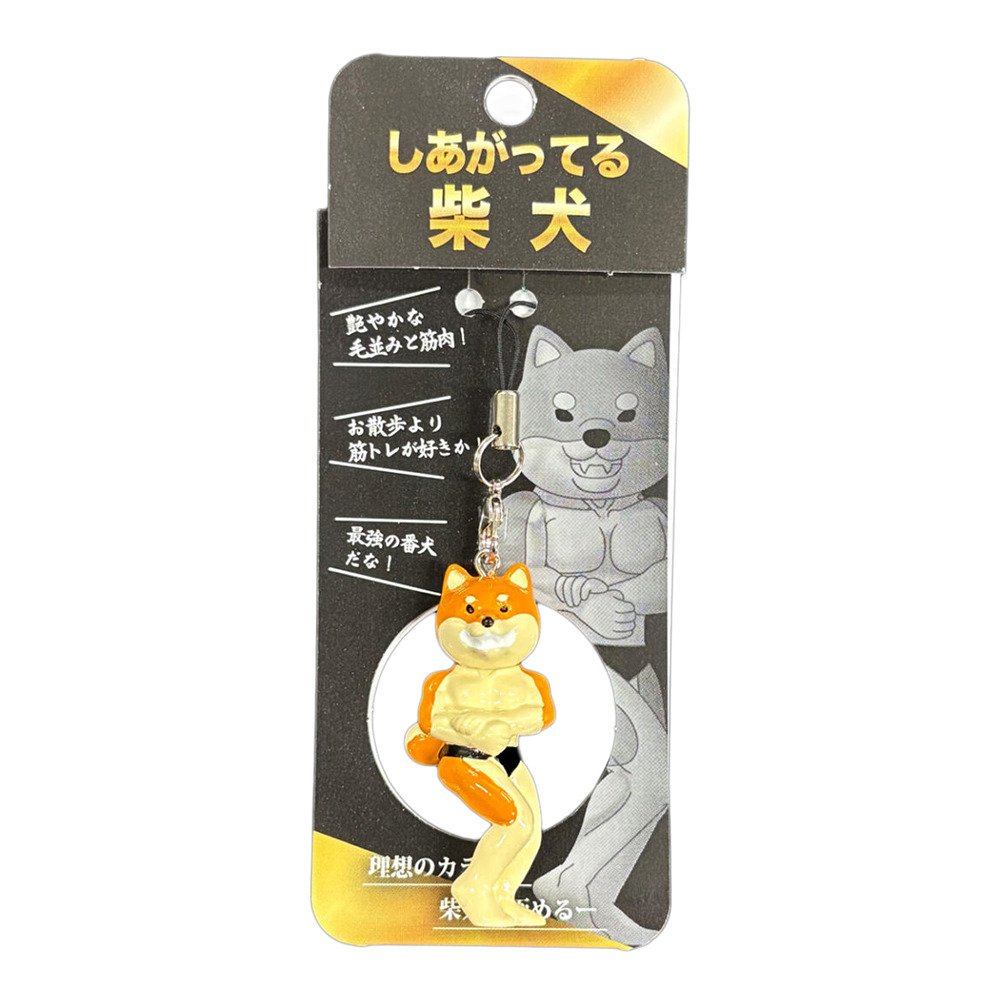 カワチ（Kawachi）（メンズ、レディース、キッズ）しあがってる柴犬