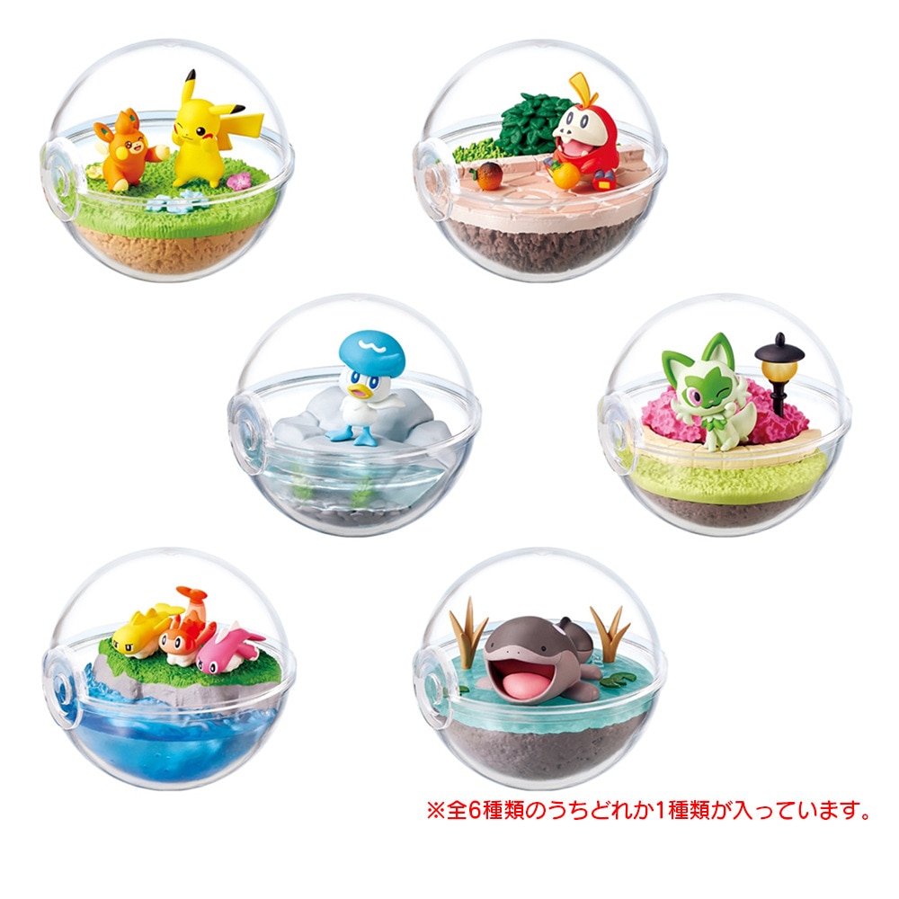 リーメント（LIFE-LINK）（キッズ）ポケットモンスター テラリウムコレクションEX 駆け巡るパルデアの世界へ RE 207810