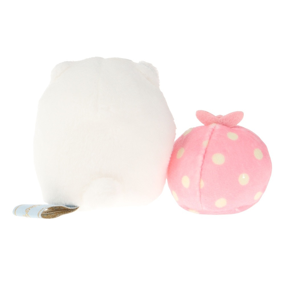 すみっコぐらし（Sumikkogurashi）（メンズ、レディース、キッズ