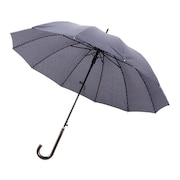 (レディース)雨傘 ピンドット 長傘 12K ネイビー 731-011 55cm