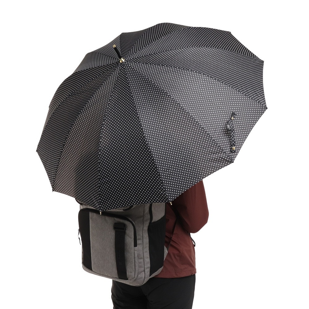 ナチュラルベーシック（Natural Basic）（レディース）雨傘 ピンドット 長傘 12K 黒 731-011 55cm