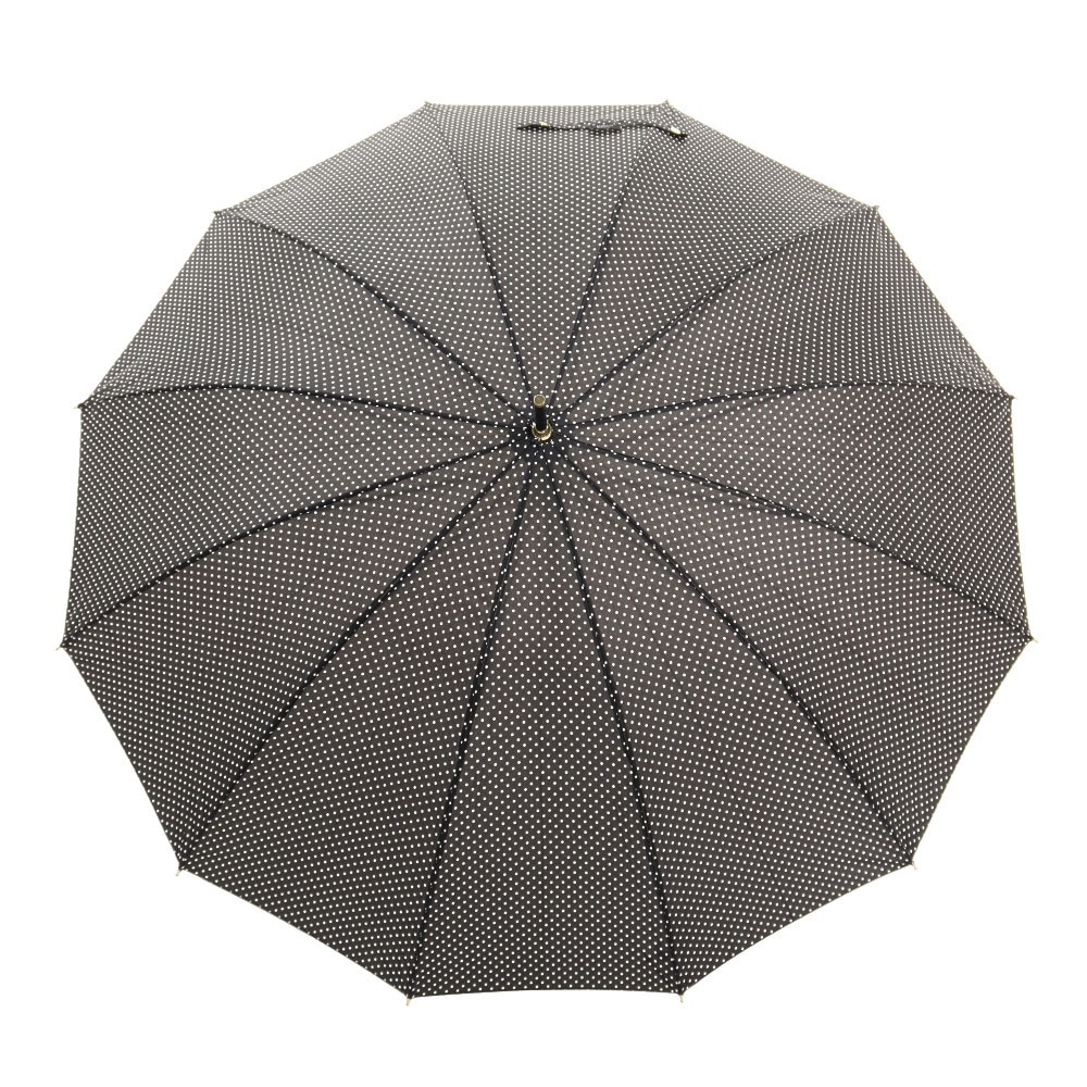 ナチュラルベーシック（Natural Basic）（レディース）雨傘 ピンドット 長傘 12K 黒 731-011 55cm