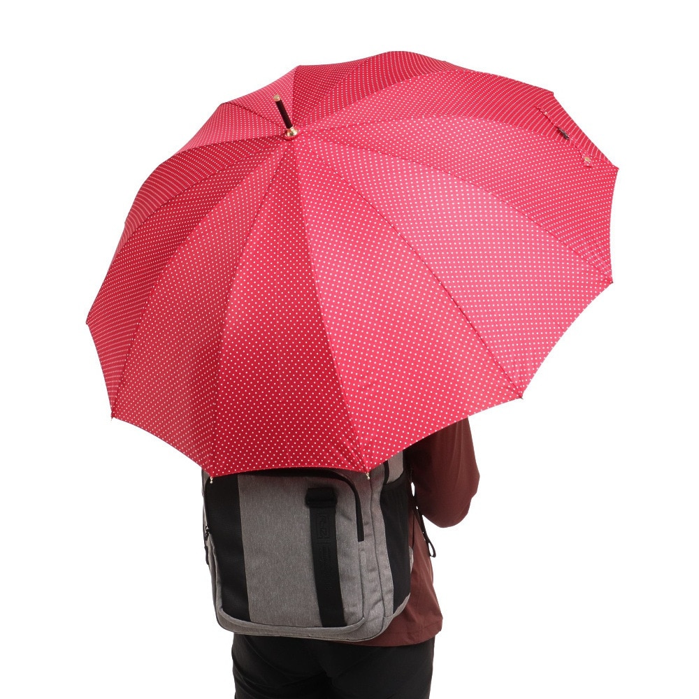 ナチュラルベーシック（Natural Basic）（レディース）雨傘 ピンドット 長傘 12K ローズ 731-011 赤 55cm