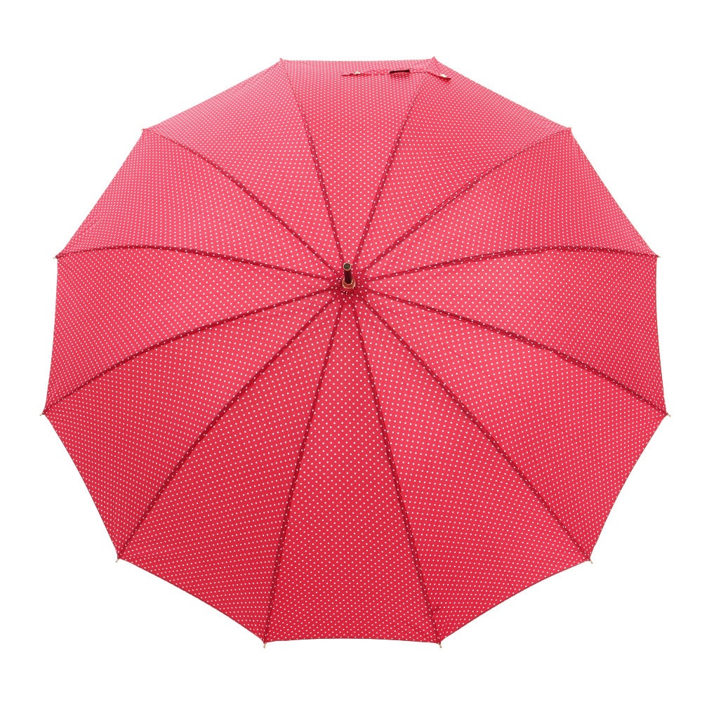 ナチュラルベーシック（Natural Basic）（レディース）雨傘 ピンドット 長傘 12K ローズ 731-011 赤 55cm