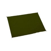 アンダーシート 1 エアライズ ゴアライズ用 キャンプ用品 グランドシート アライテント エルブレス