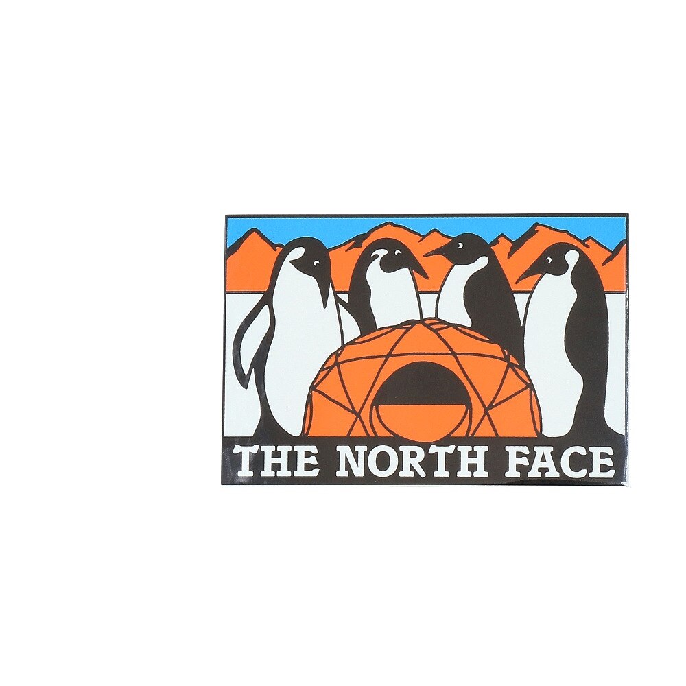 TNF PRINT STICKER NN32121 AT