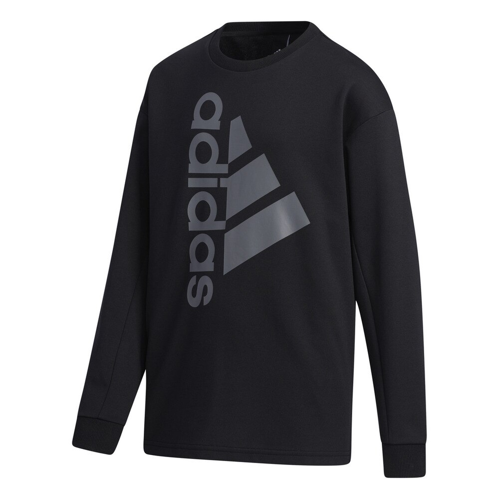 トレーニングエッセンシャルズ バッジ オブ スポーツ 長袖Tシャツ 53482-GP0793