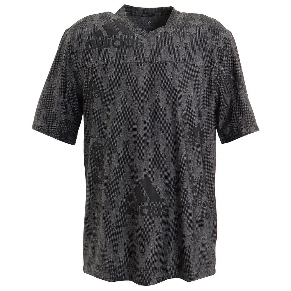  シティニット 半袖Tシャツ GVP42-FL4283