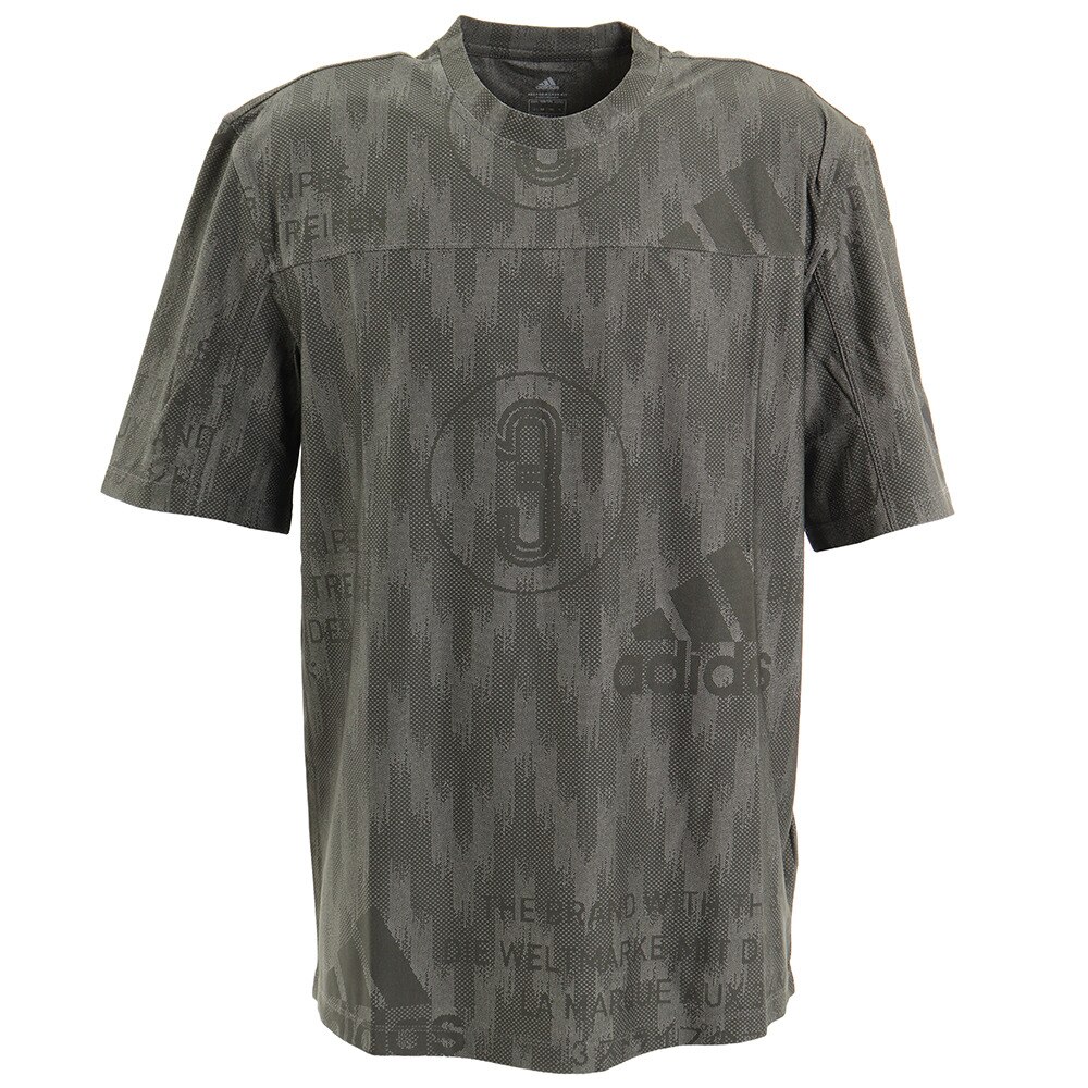  シティニット 半袖Tシャツ GVP42-FL4286