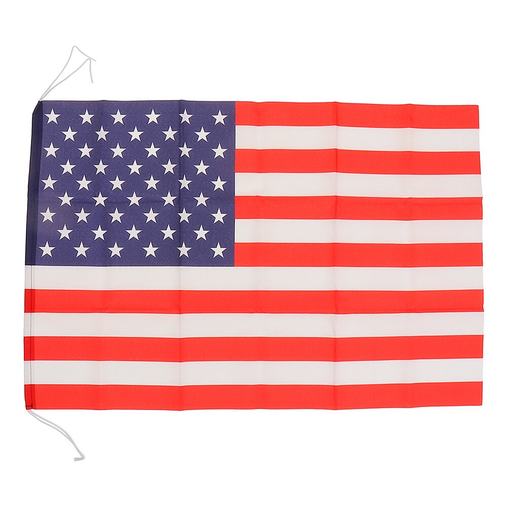  アメリカ国旗 485104