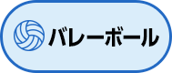バレーボール