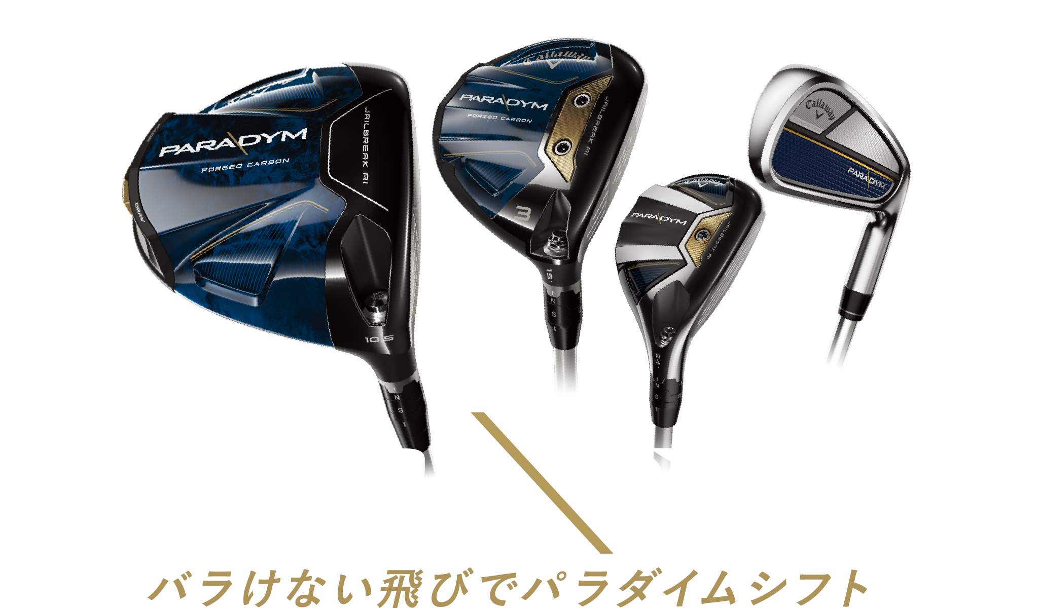 PARADYM