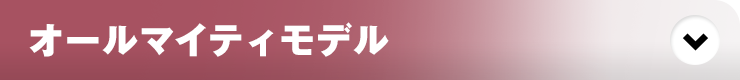 オールマイティモデル