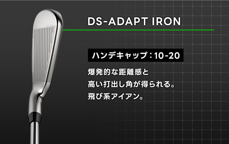 DS-ADAPT アイアン