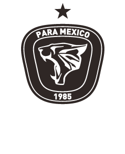 PUMA PARAMEXICO