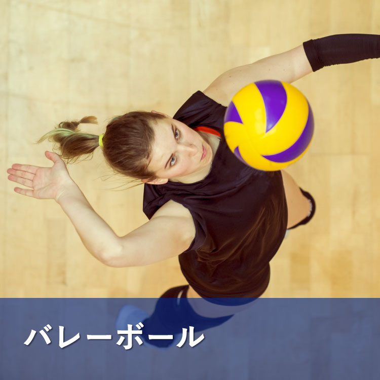バレーボール スポーツ用品はスーパースポーツゼビオ