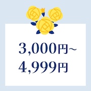 3000〜4999円