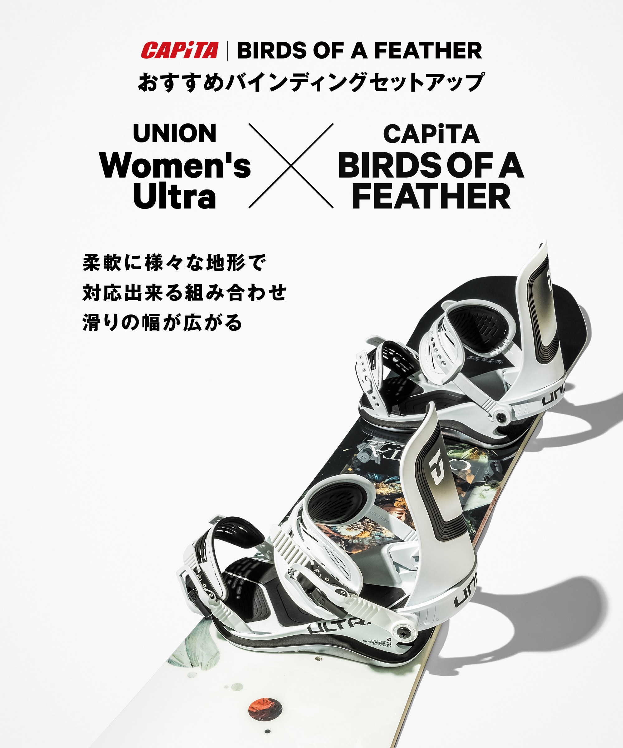 本店_10861261601_25 BIRDS OF A FEATHE_5