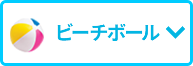 ビーチボール