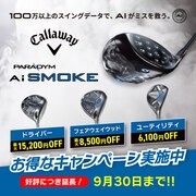 パラダイム
