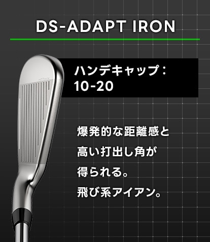 DS-ADAPT アイアン
