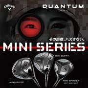 QUANTUM MINI