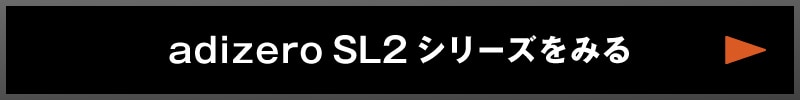 SL2リンク