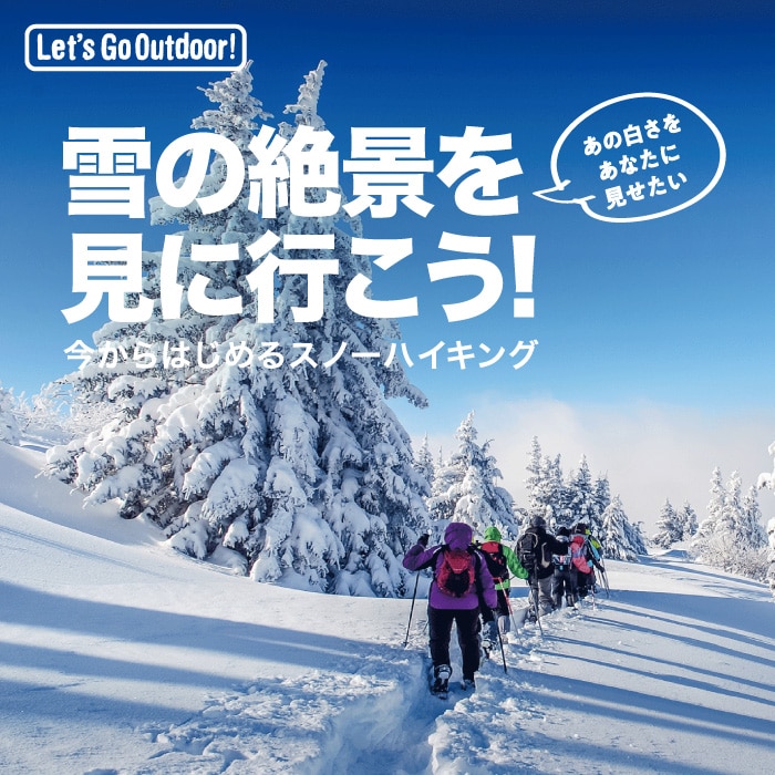 雪の絶景を見に行こう！