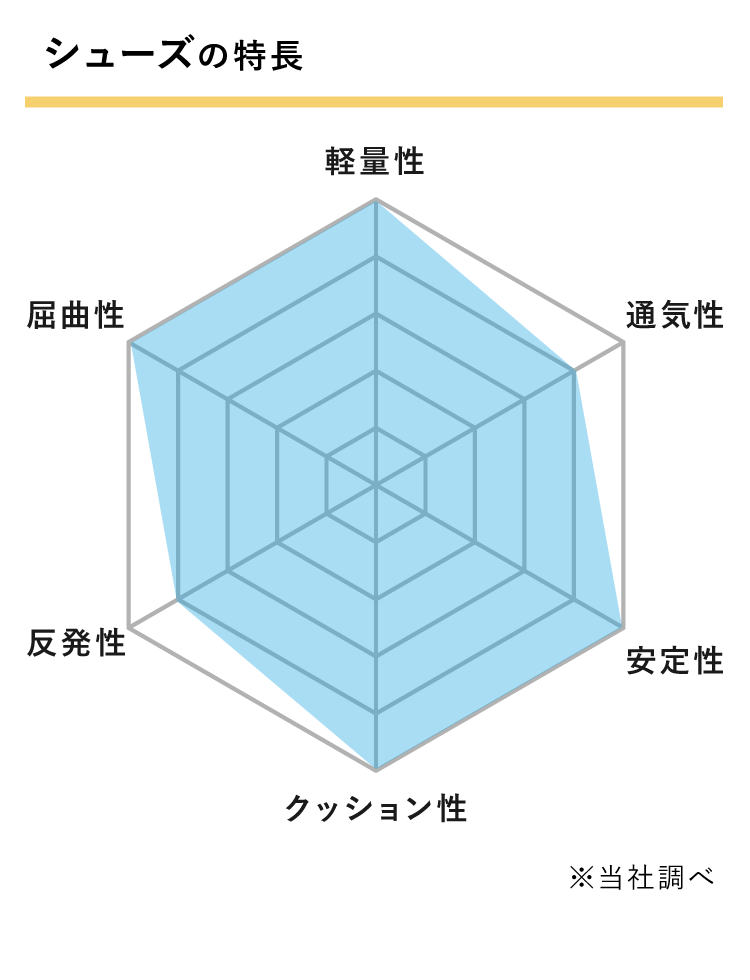 シューズスペック