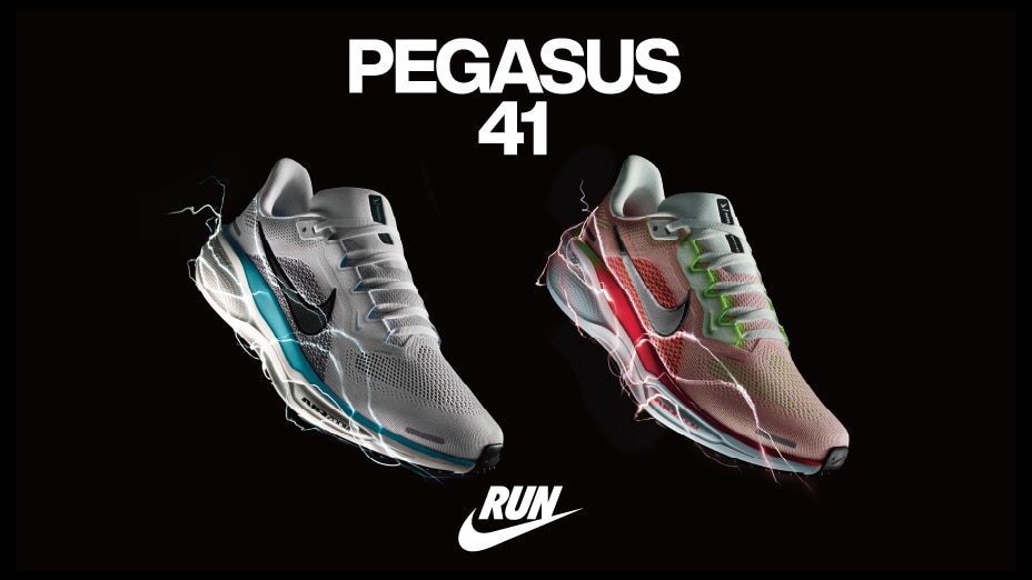 pegasus41_lp