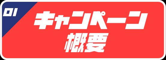 01 キャンペーン概要