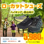 ローカットシューズ