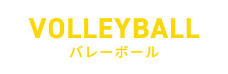 バレーボール