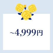 〜4,999円