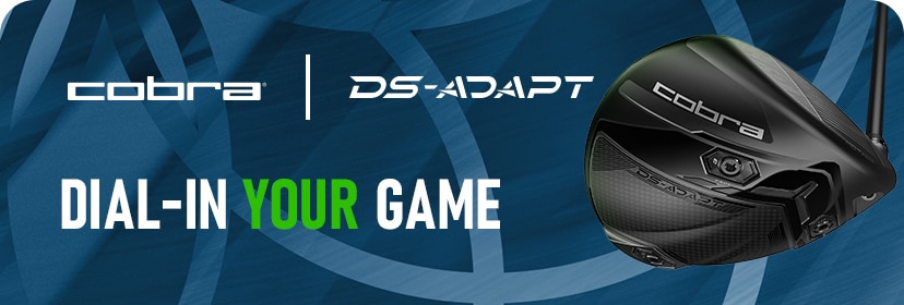 DS-ADAPT