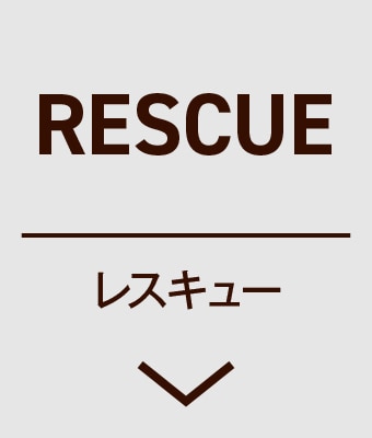 レスキュー