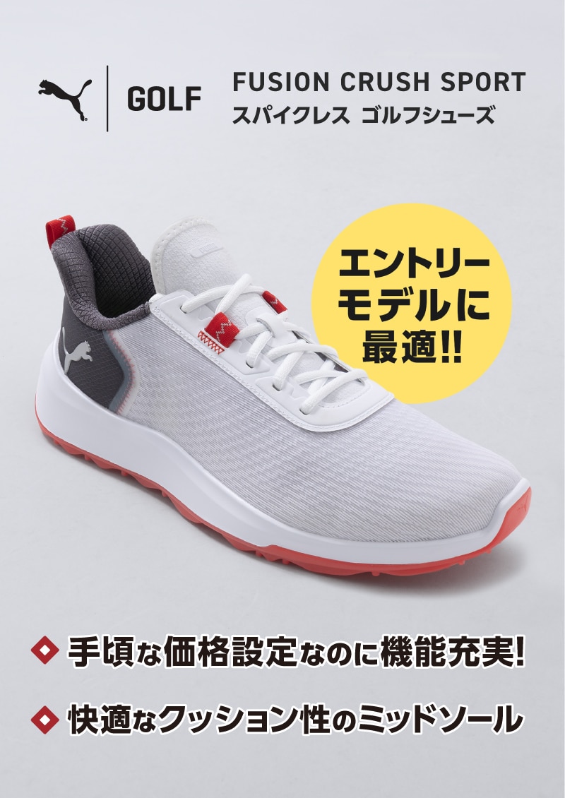 ”エントリーモデル"