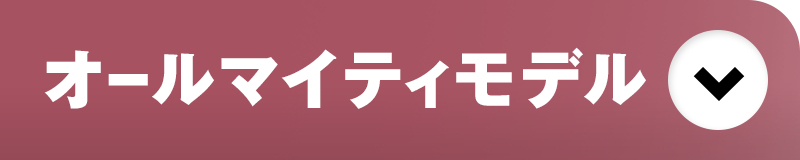 オールマイティモデル