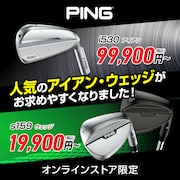 ピン i530アイアン s159ウェッジ