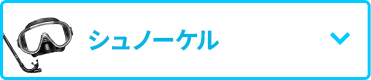 シュノーケル