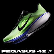 NIKE PEGASUS 42