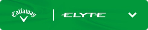 ELYTE