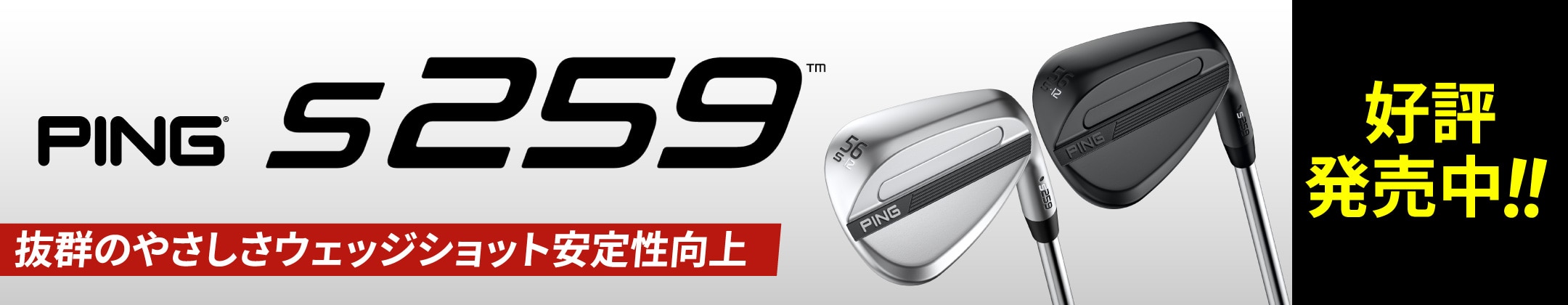 PING s259