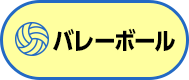 バレーボール
