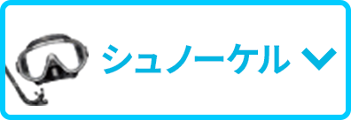 シュノーケル