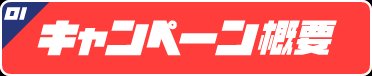 01 キャンペーン概要